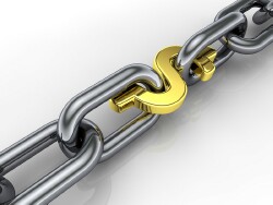chain-with-dollar-link smaller